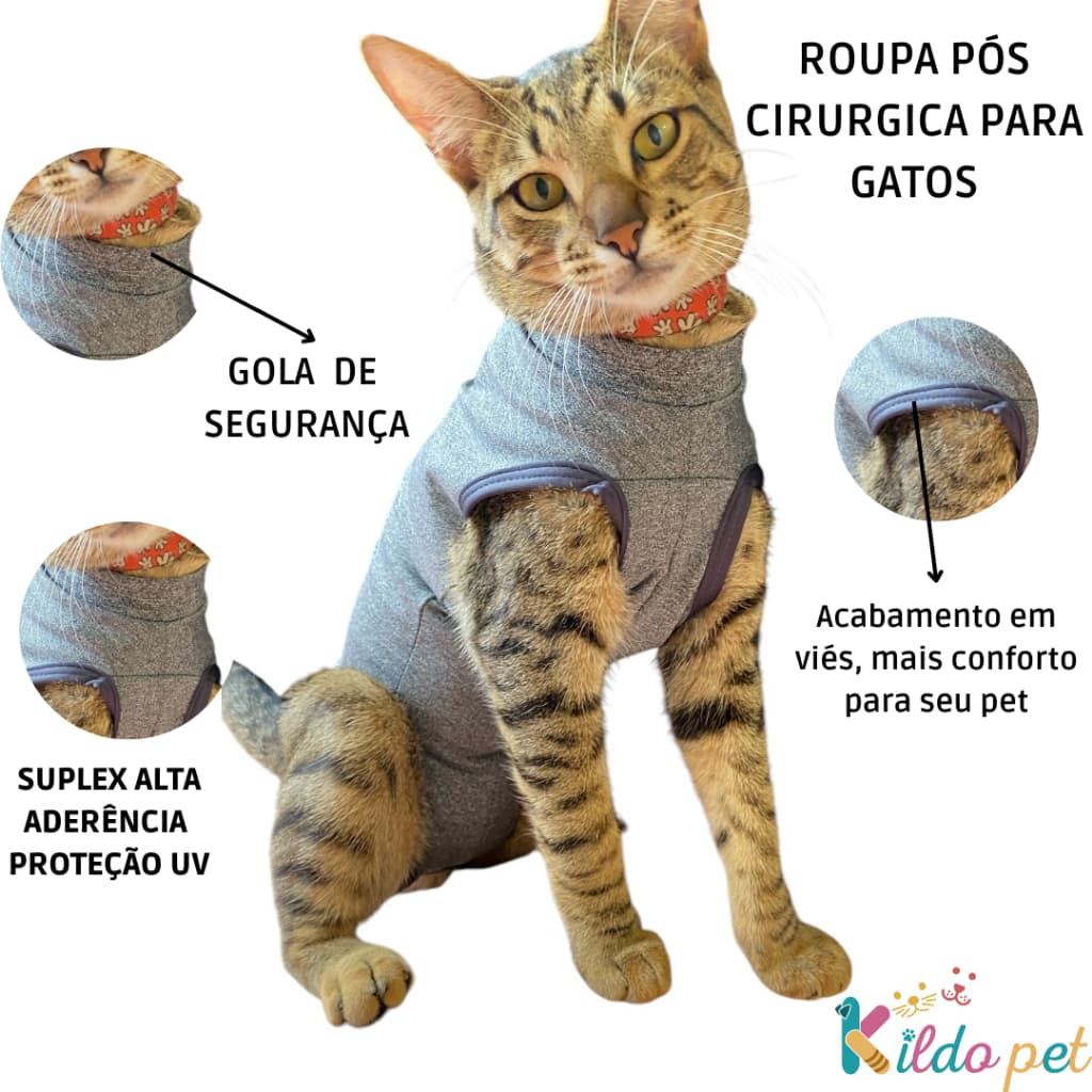 Roupa Pós Cirúrgica Gato - Roupa Cirurgica Para Gato - Roupa pós cirúrgica gato