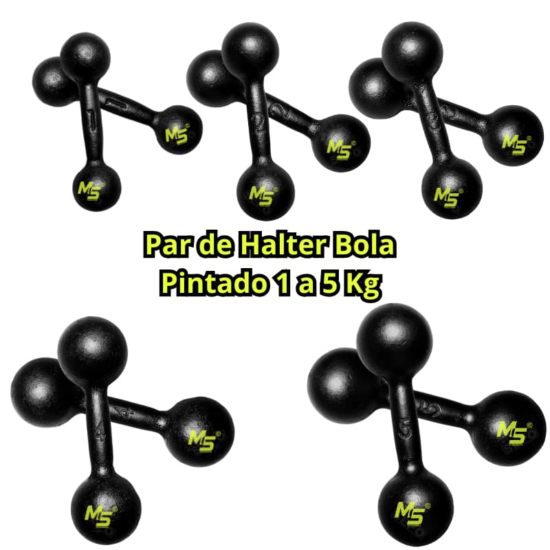 Par Halter Bola Pintado - 1 a 5 Kg / Treino Musculação Peso de Academia C/ 2 Un