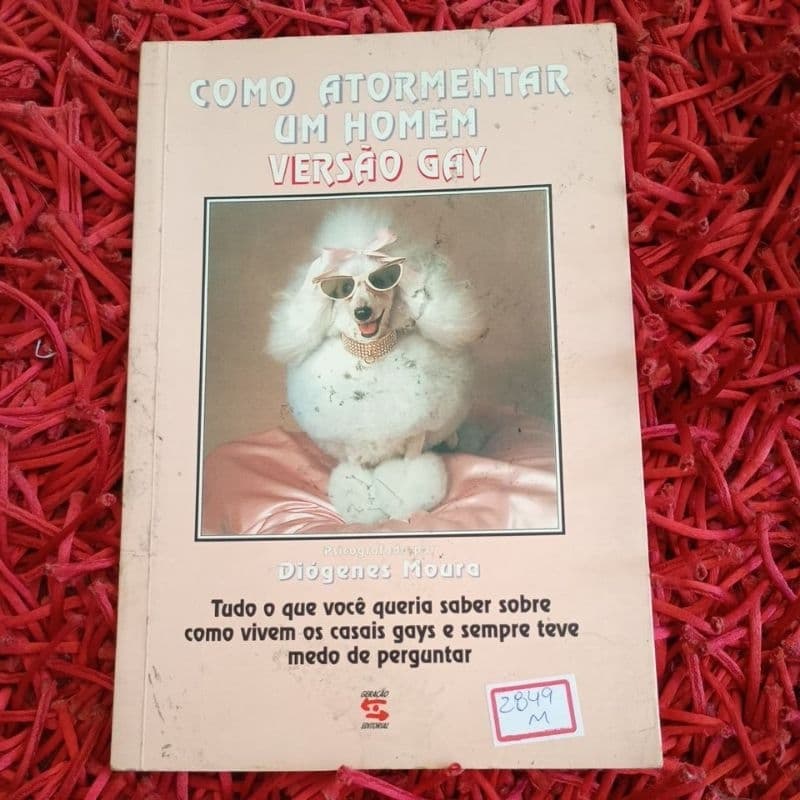 Como atormentar um homem versão Gay Diogenes Moura (2849m)