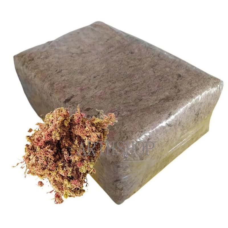 1 kg Musgo esfagnum Sphagnum signo Rosa seco Desidratado para Orkideas kokedama decoração