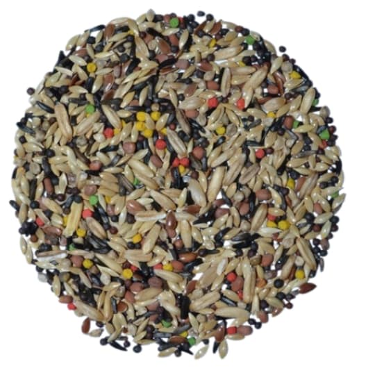 Mistura Canário Premium 5kg - Top Bird.