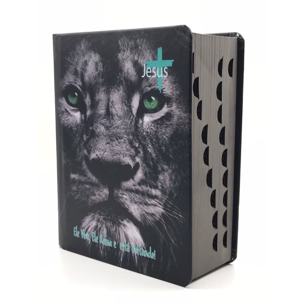 Bíblia Sagrada Com Harpa Tamanho Médio Palavra de Deus em Azul e Palavra de Jesus em vermelho Capa Dura