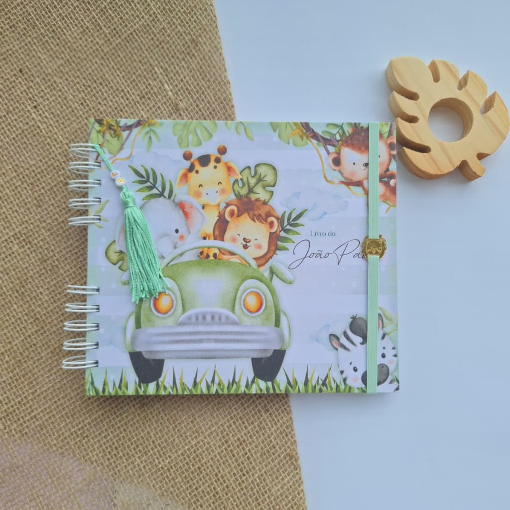 Livro do bebê - Safari Menino IV
