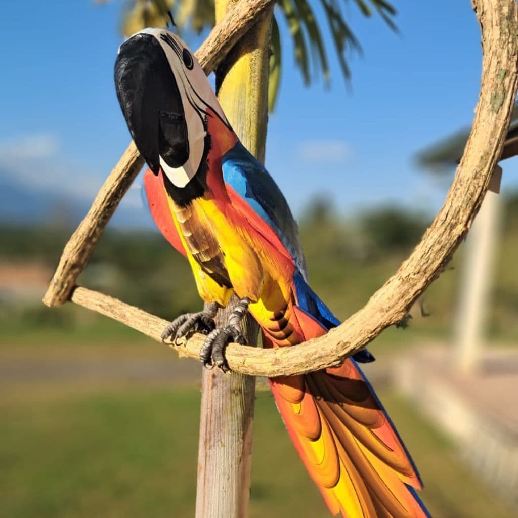 ARARA DE MADEIRA NO CIPÓ MÉDIA 50CM E GRANDE 65CM E GG 94CM ARTESANAL DECORAÇÃO PÁSSARO DE MADEIRA