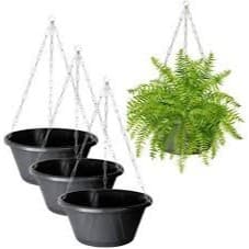 Kit 03 Vasos Cuia 21 com Corrente 44cm Dourada para Plantas pendentes 2,4 lts