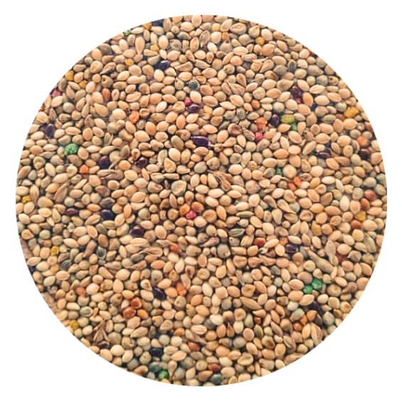 Mistura Coleiro Comum 5kg -  Top Bird - Grãos Selecionados - Papa Capim.