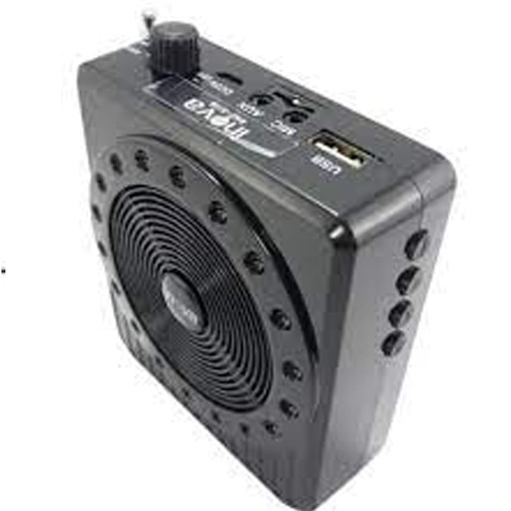 Caixa De Som Cintura Portatil  Fm Micro SD Pen Drive PEGA MICROFONE