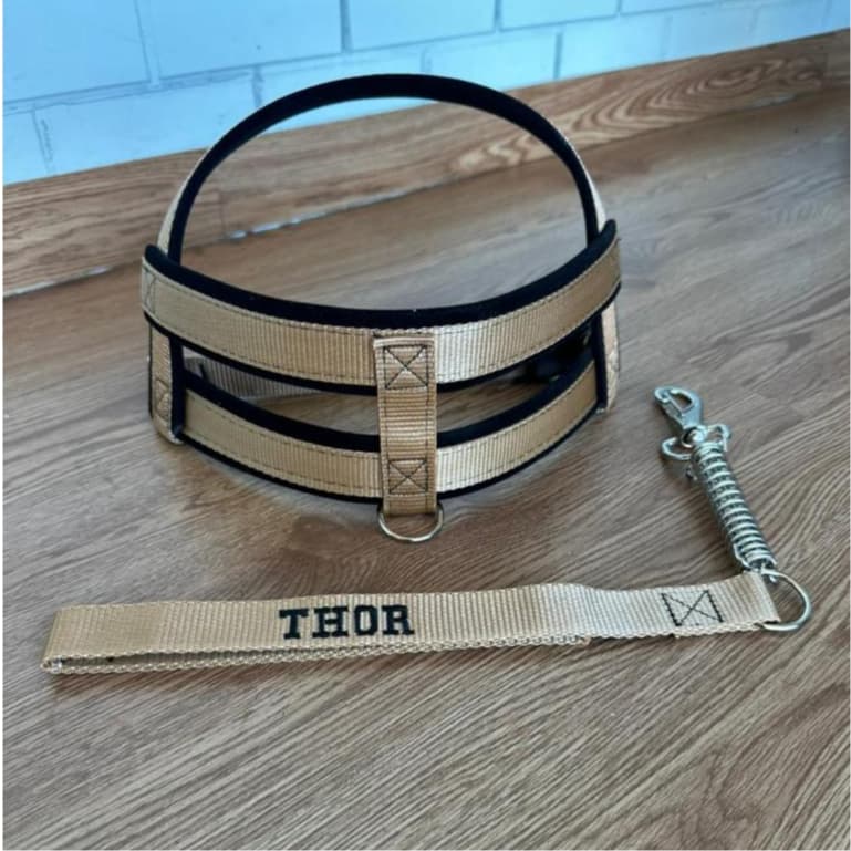 Coleira peitoral para cachorros de medio grande porte pet resistente dog reforçada varias cores