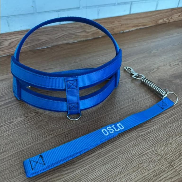 Coleira peitoral para cachorros de medio grande porte pet resistente dog reforçada varias cores