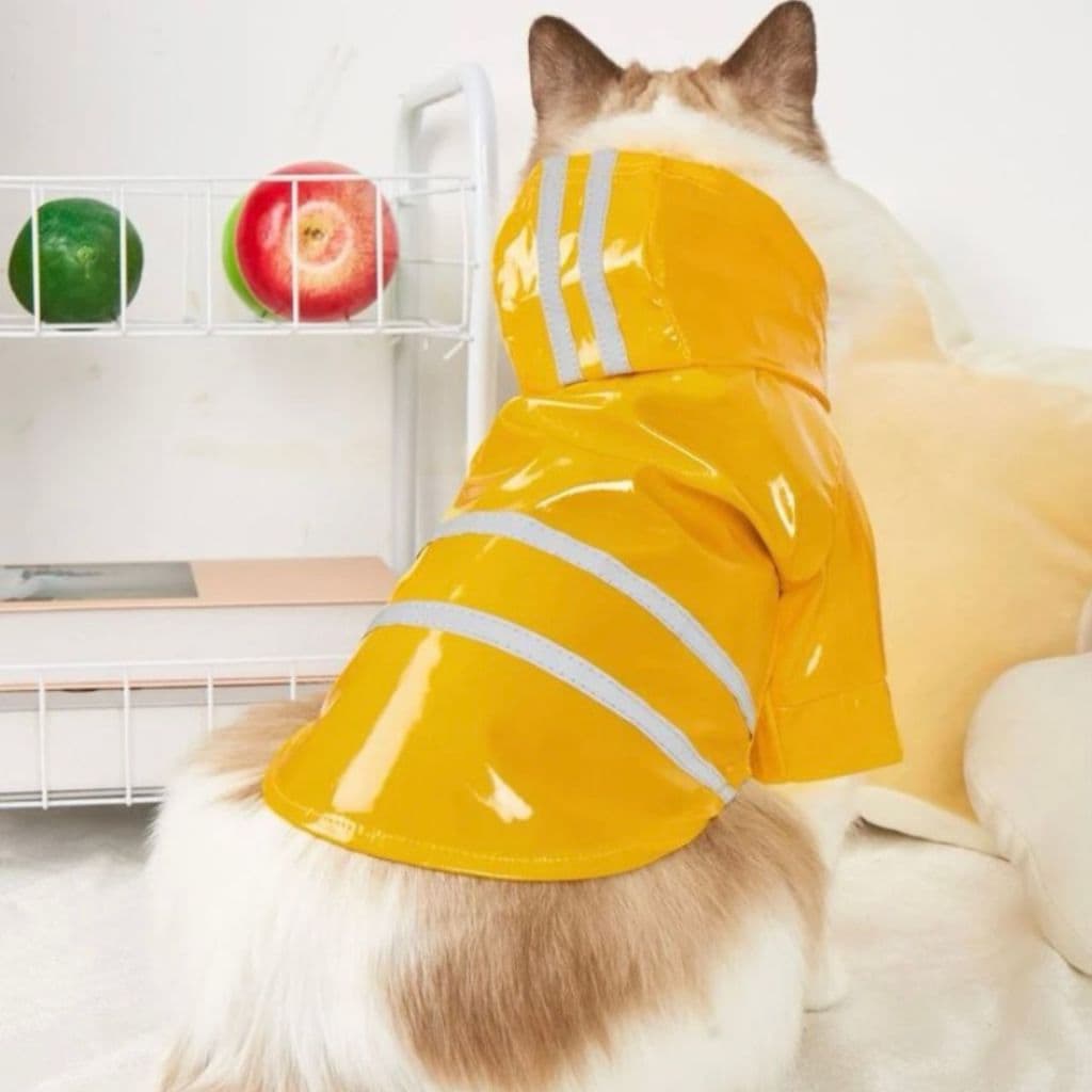 Capa pet de chuva amarela para gato e cachorro