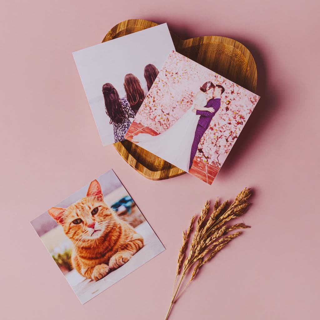 Fotos 10x10 Alta Qualidade