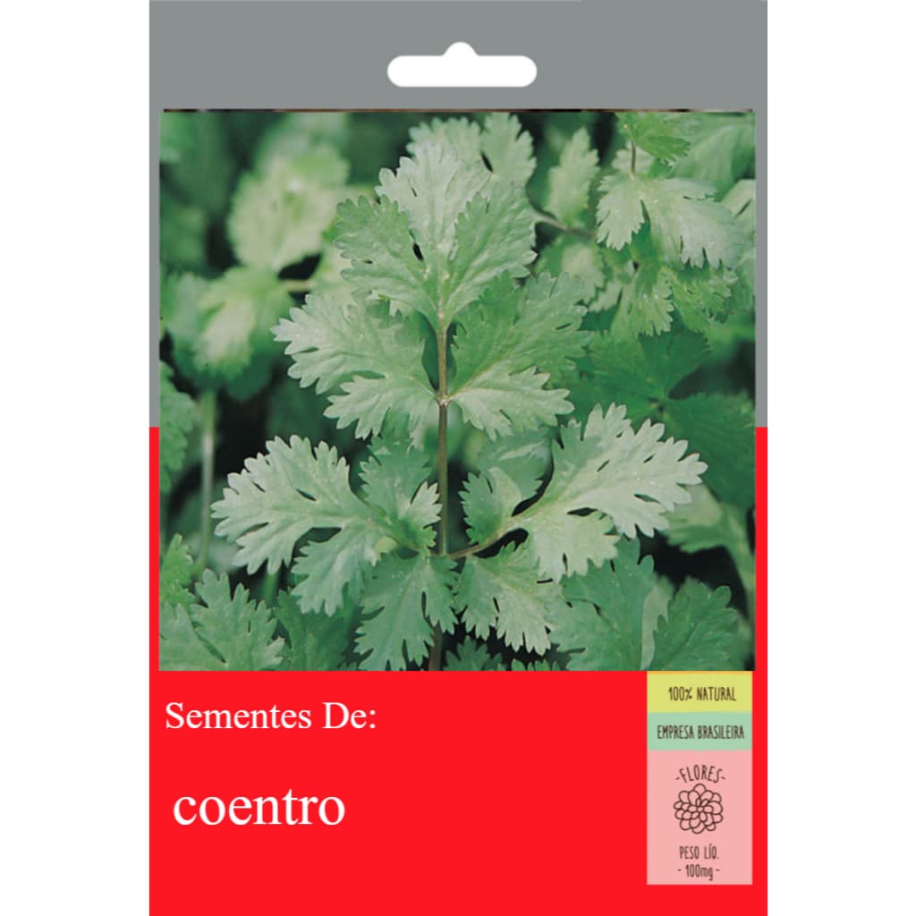 30 Sementes Coentro (Verdao Super) Verdao