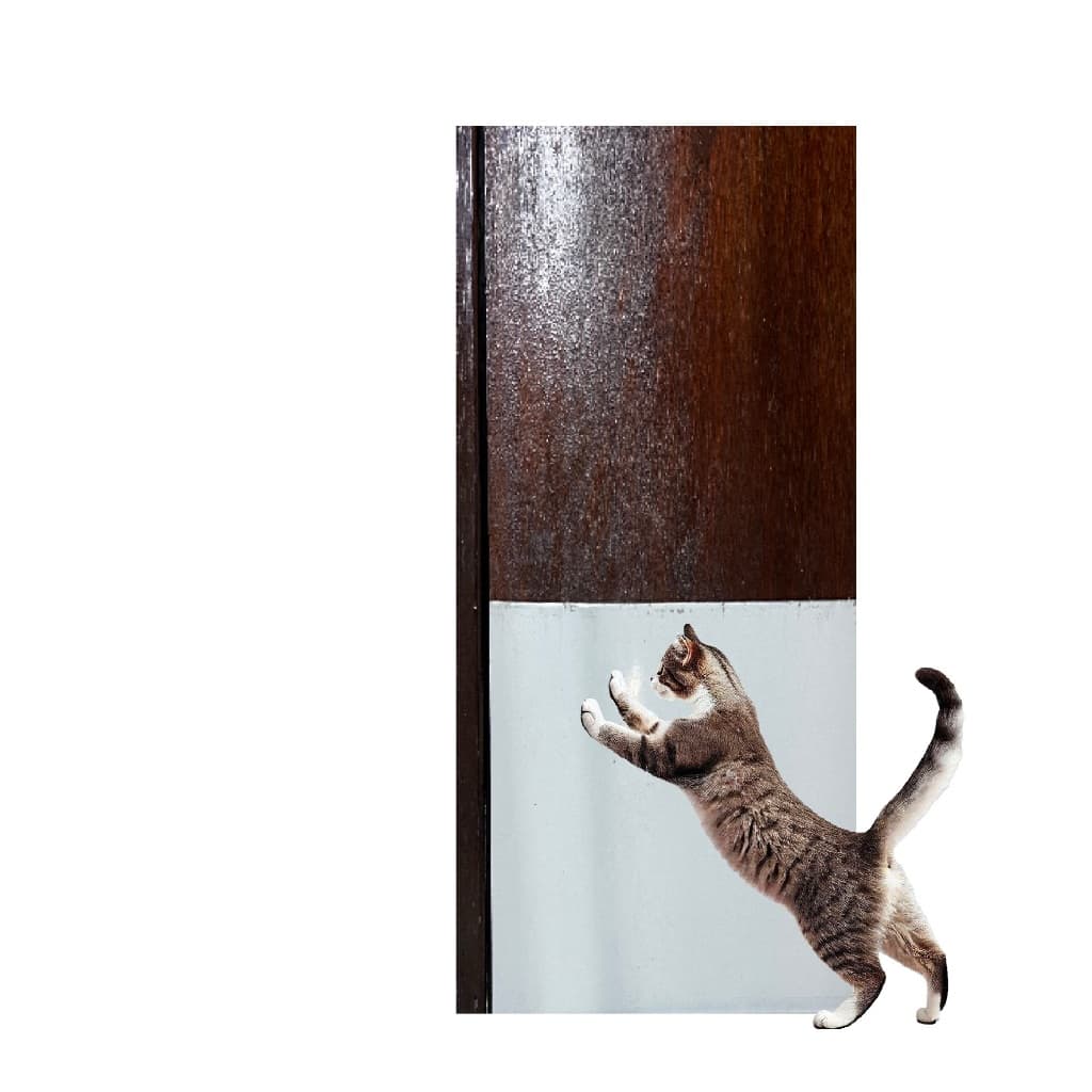 Chapa Branca Proteção Pet para colar na porta Salva Porta