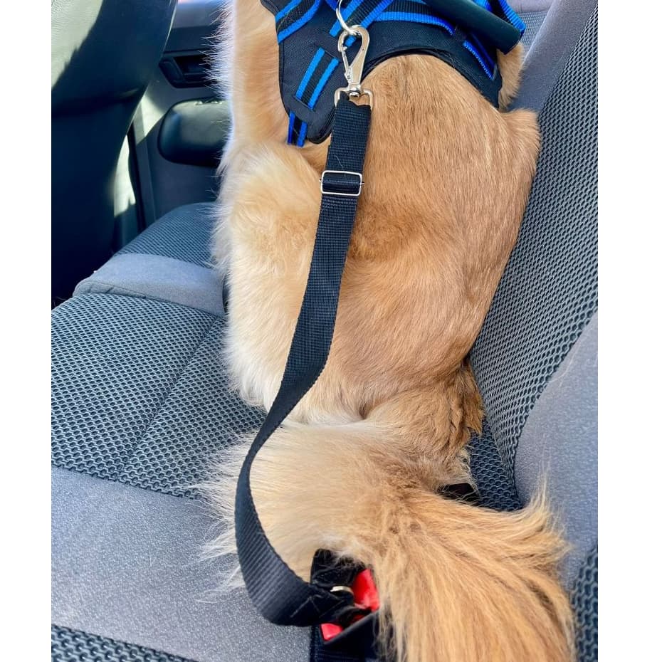 Cinto de segurança pet universal para cães e gatos