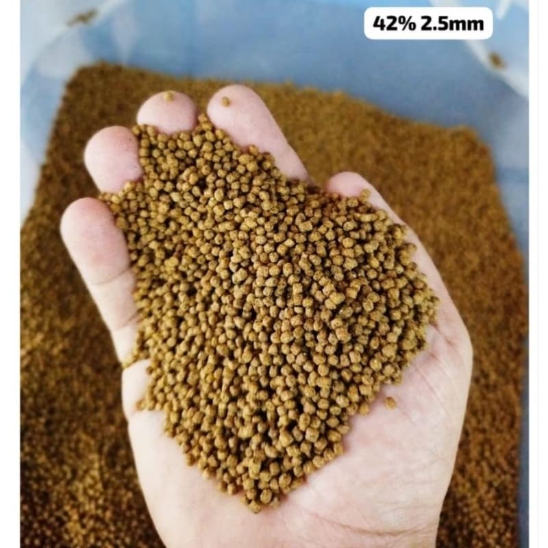 Ração P42% tartaruga, turtle, répteis