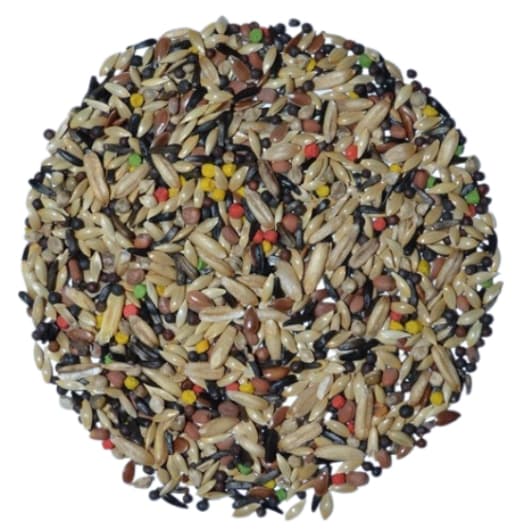 Mistura Canário Premium 10kg (2 unidades de 5 kg) - Top Bird.