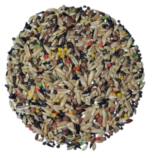 Mistura Canário Premium 5kg - Top Bird.