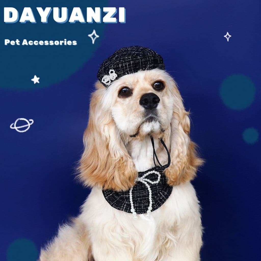 Chapéus e babadores para cachorro e gato DYZ00006