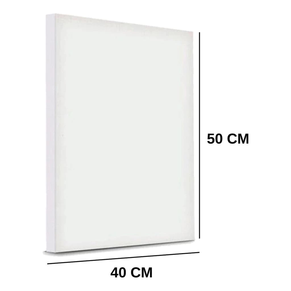 Tela Para Pintura 50 x 40 - 1 Unidade Qualidade Premium Escolar Artístico Profissional