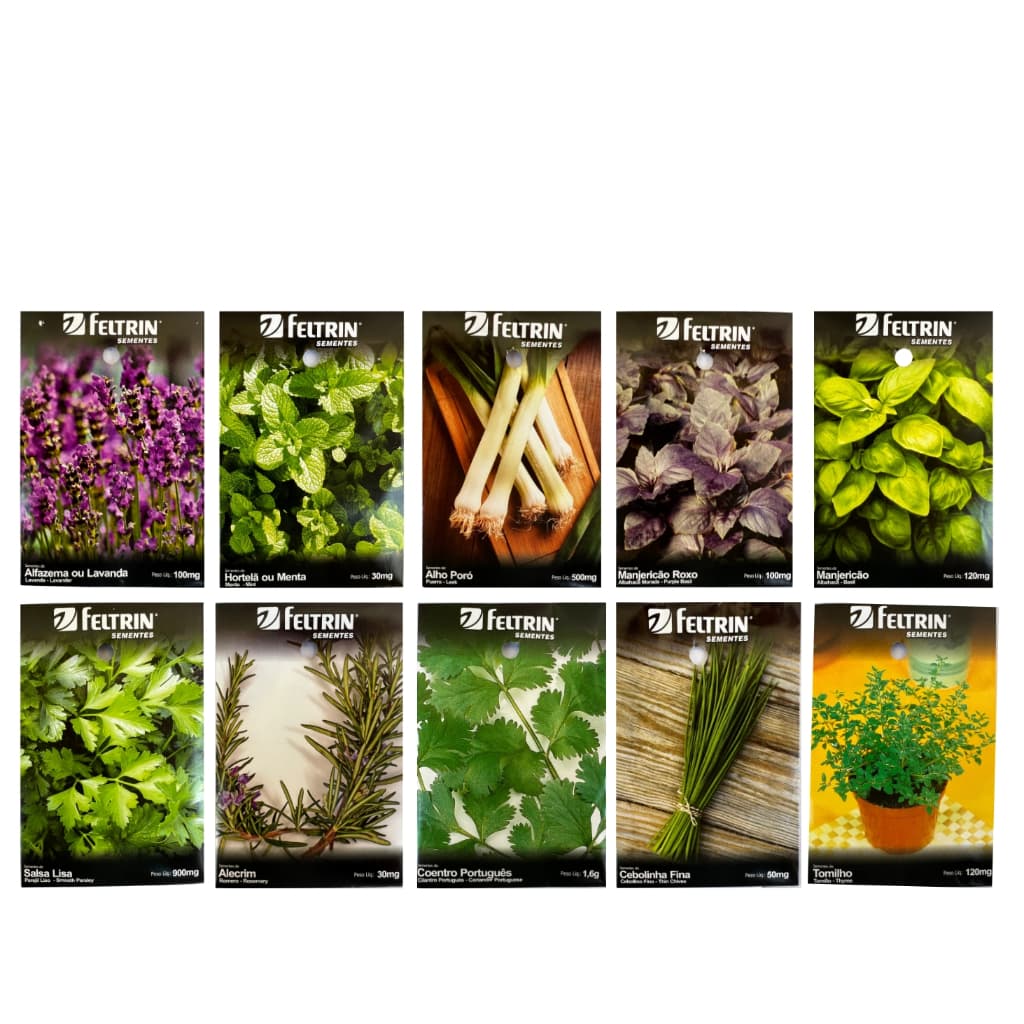 Sementes de Temperos e Ervas - Monte sua Horta! Feltrin e Semear Shop