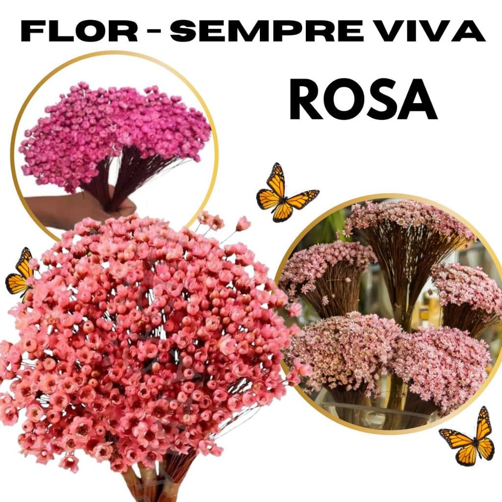 Flor sempre viva rosê, kit com até 1.500 flores secas / atacado