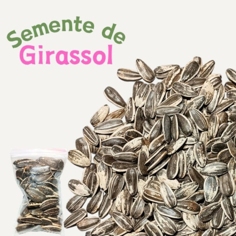 Semente de girassol graúda, aves, hamster, roedores, agapornis, calopsita, petisco, Twister