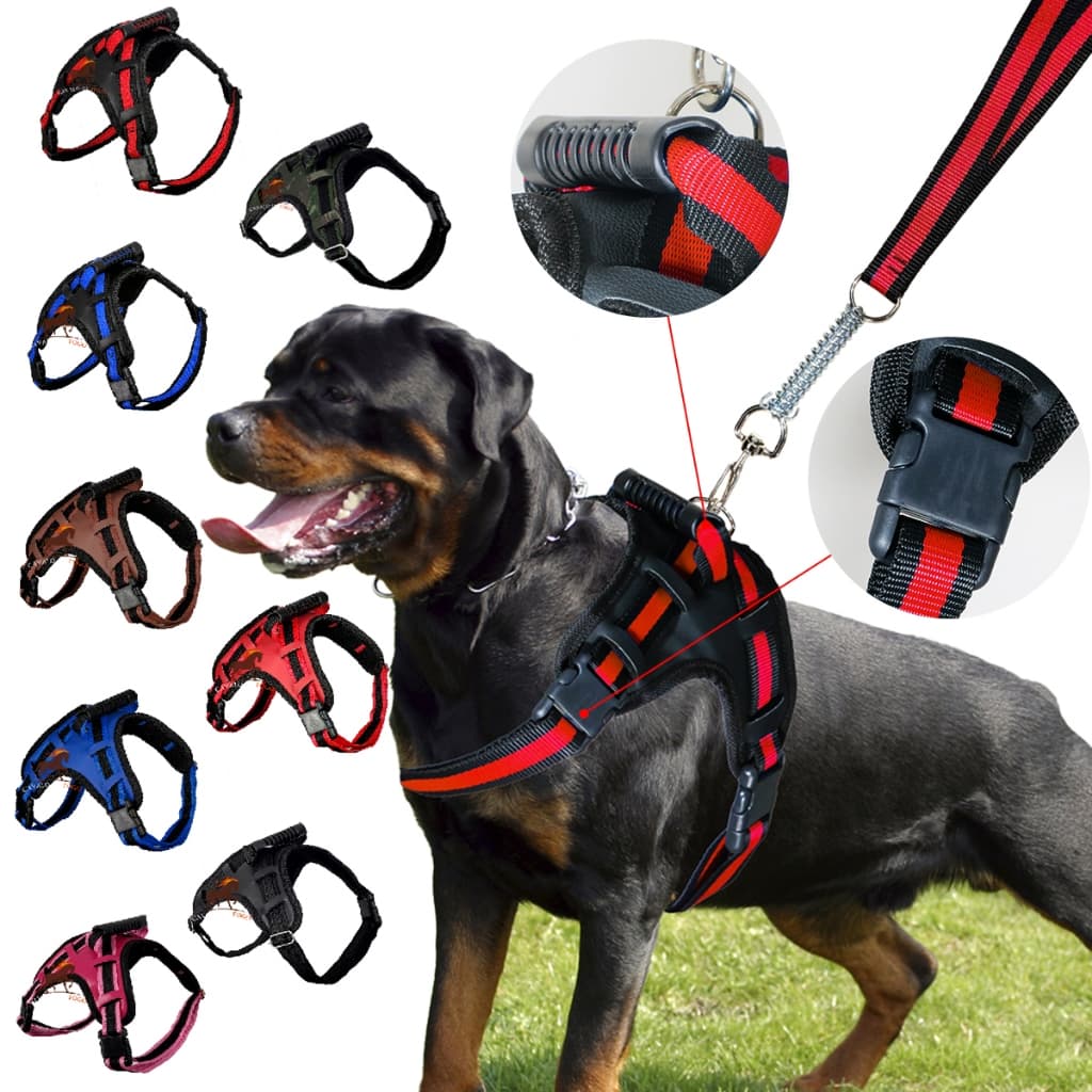 Coleira Peitoral Cachorro Conjunto De Guia + Coleira Tipo Peitoral Para Pet Pequeno Médio e Grande