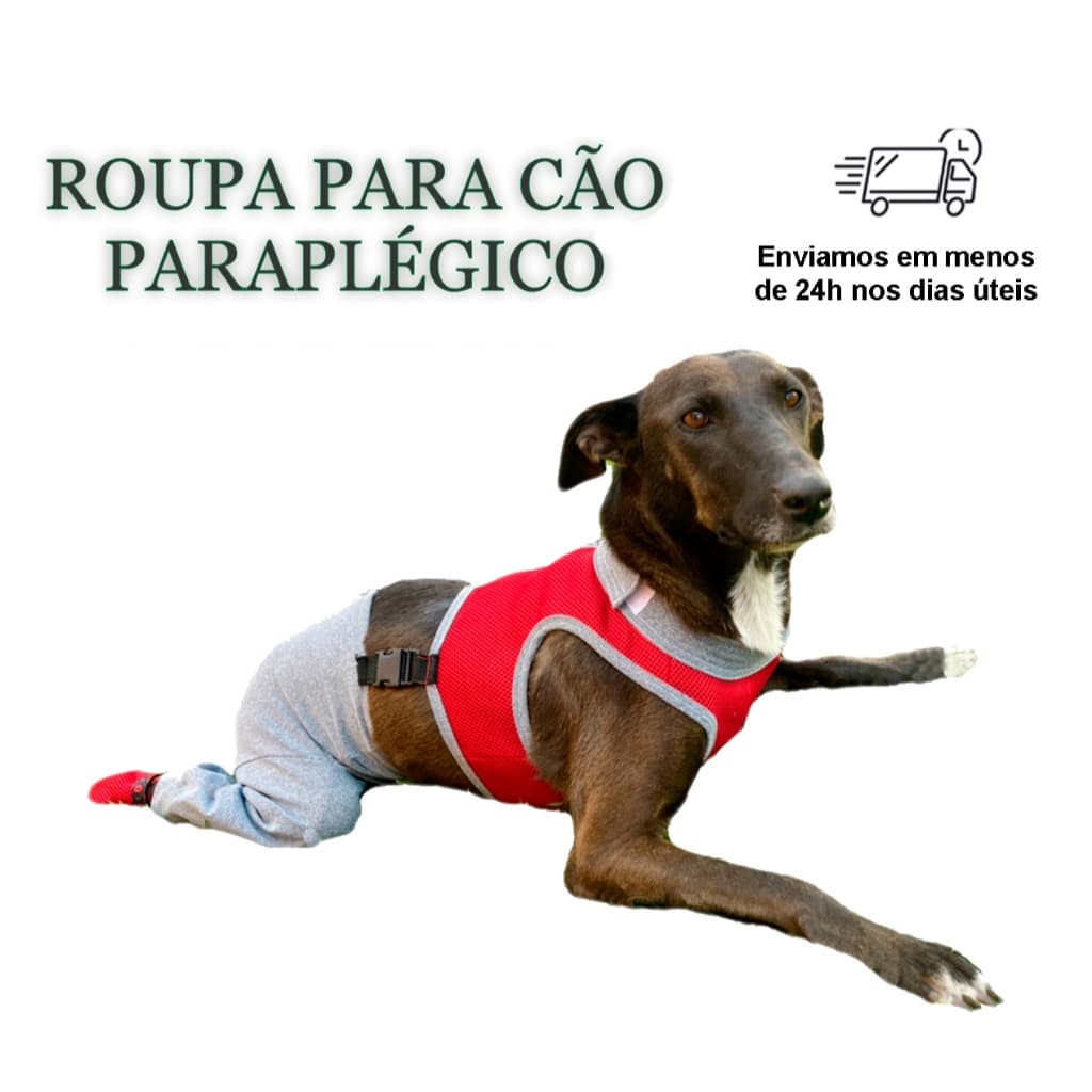 Roupa Protetora Pet Para Cachorro Paraplégico - Pernas Traseiras/Membros Posteriores