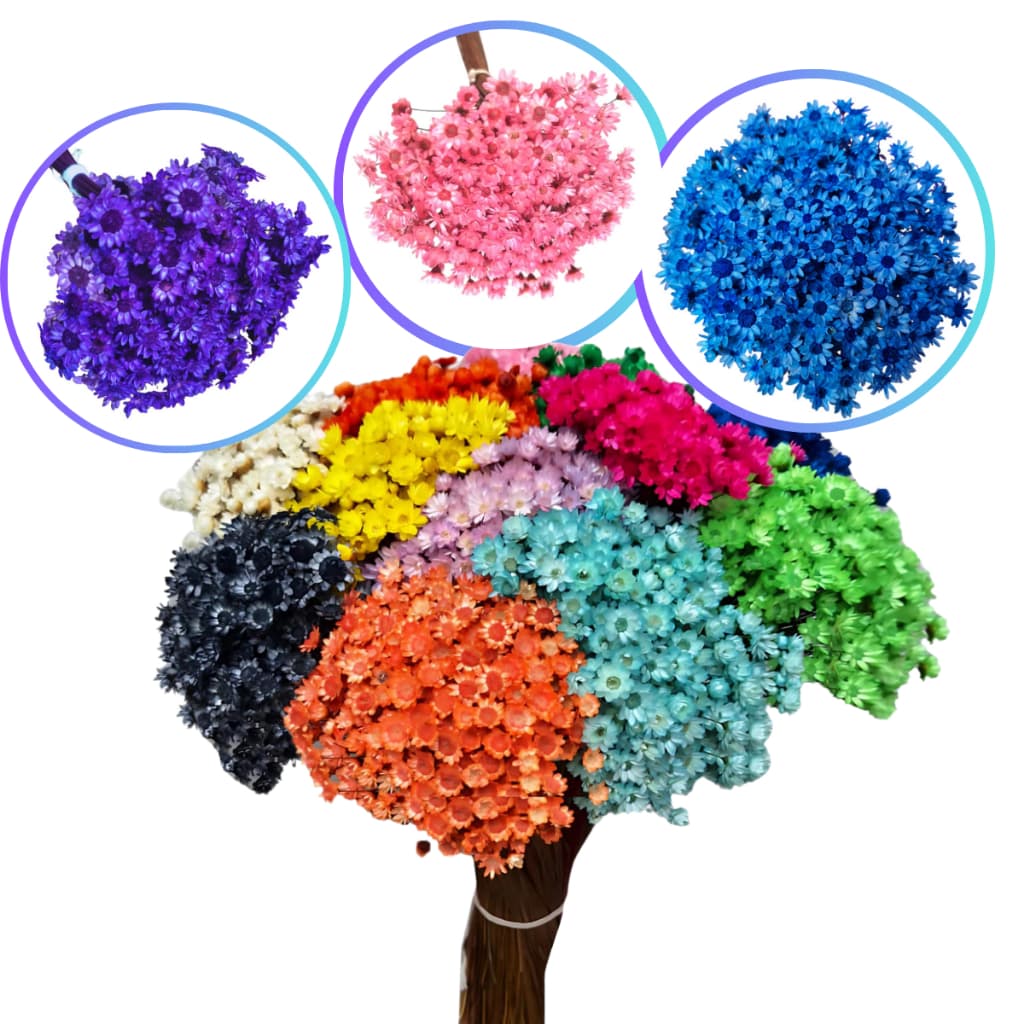 Flor sempre viva , Kit com 3.000 / 1.500 / 1.200 / 600 / 150 flores desidratadas Premium