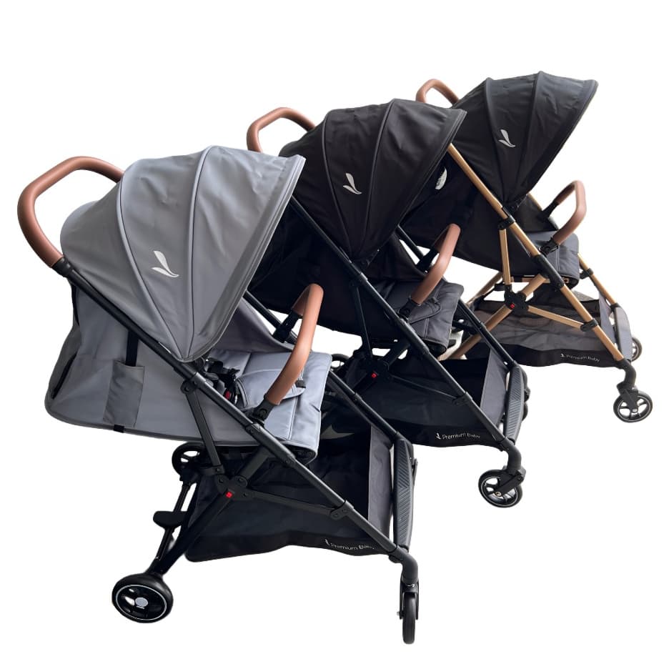 Carrinho de Passeio Bebê Compacto Zurich Premium Baby Leve Bom Sistema de Viagem