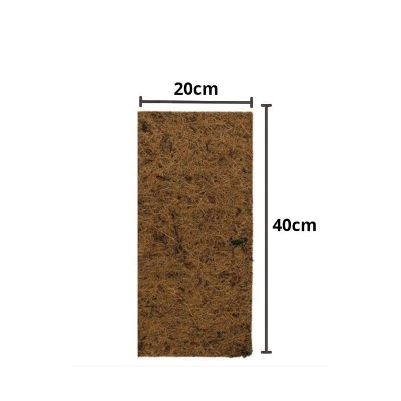 PLACA DE FIBRA DE COCO 40x20X1 cm Excelente para Orquídeas, Samambais, Chifre de Veado