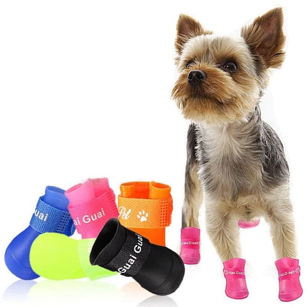 Bota de Silicone Sapato Galocha para Cachorro