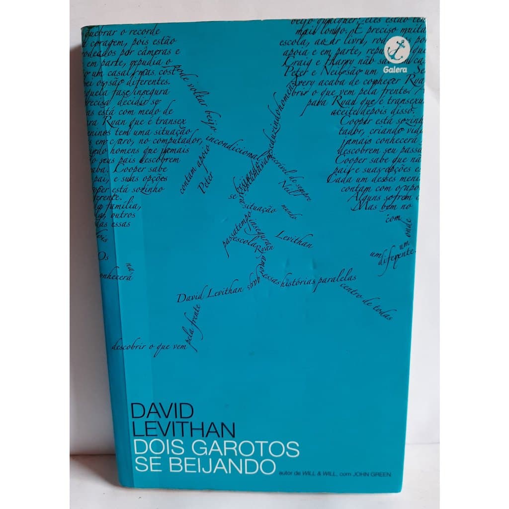 Livro Dois Garotos se Beijando / David Levithan