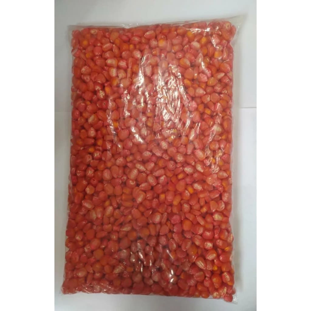 Semente Milho de Planta 1kg Transgênico Resistente a Pragas