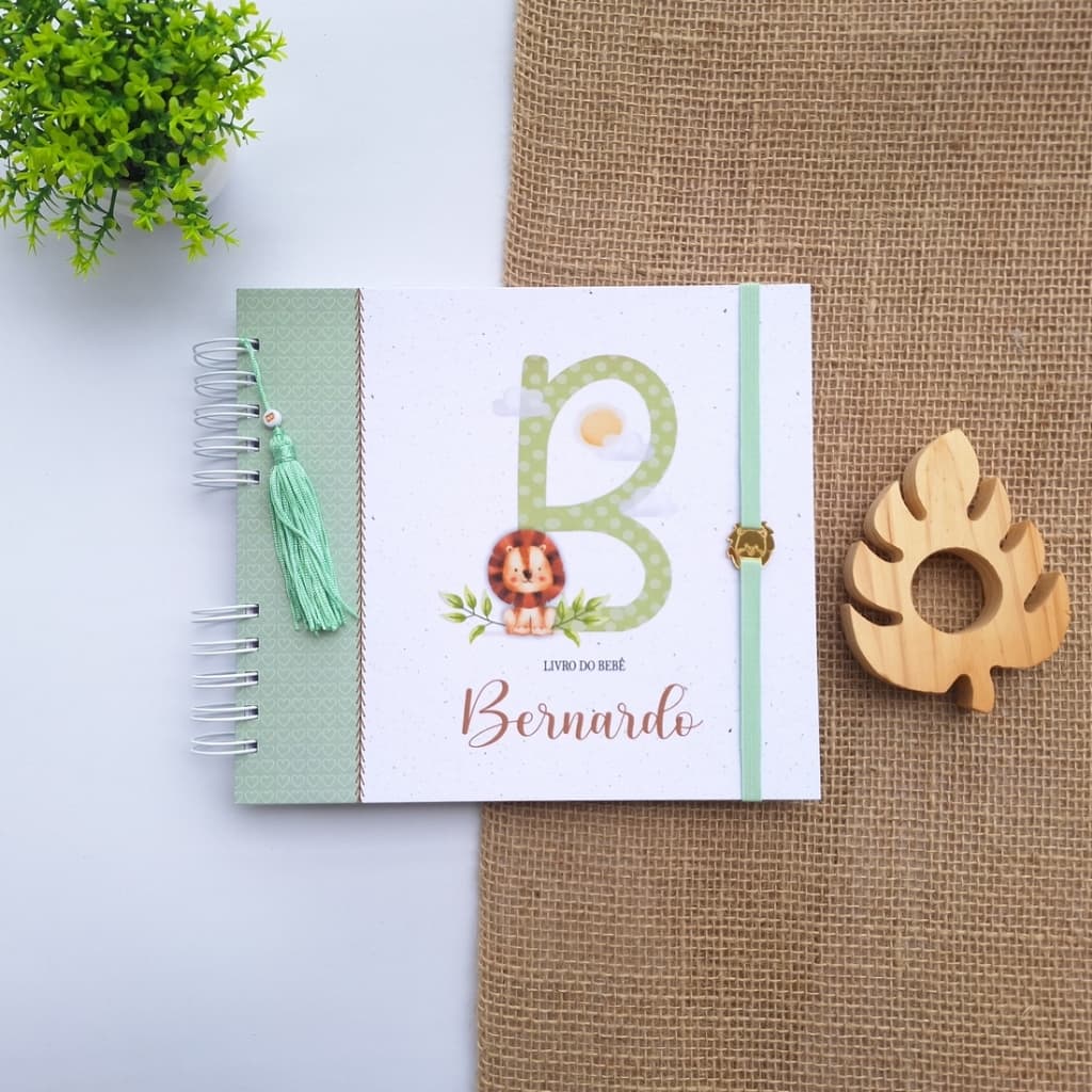 LIVRO DO BEBÊ - SAFARI ALFABETO MENINO