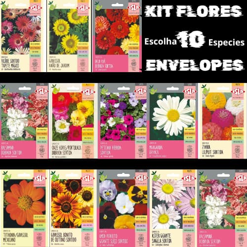 SEMENTES DE FLORES,ROSAS,GIRASSOL