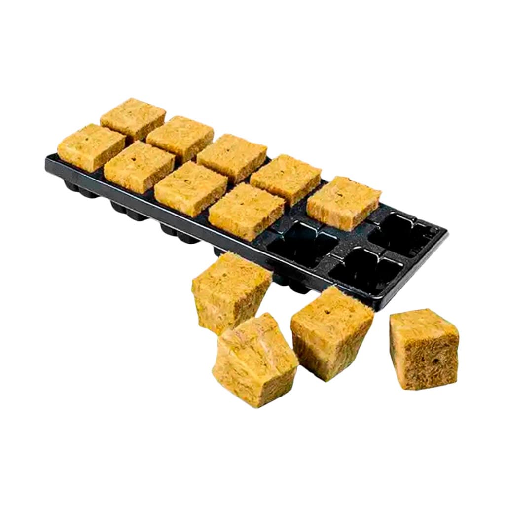 Bandeja Com Lã de Rocha Para Germinação e Clonagem - Enraizamento Mudas Sementes