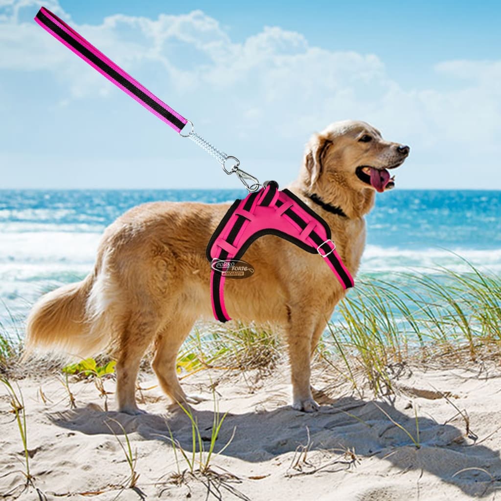 Coleira Peitoral coleira para cachorro com guia para pet Grande e médios colete confortável