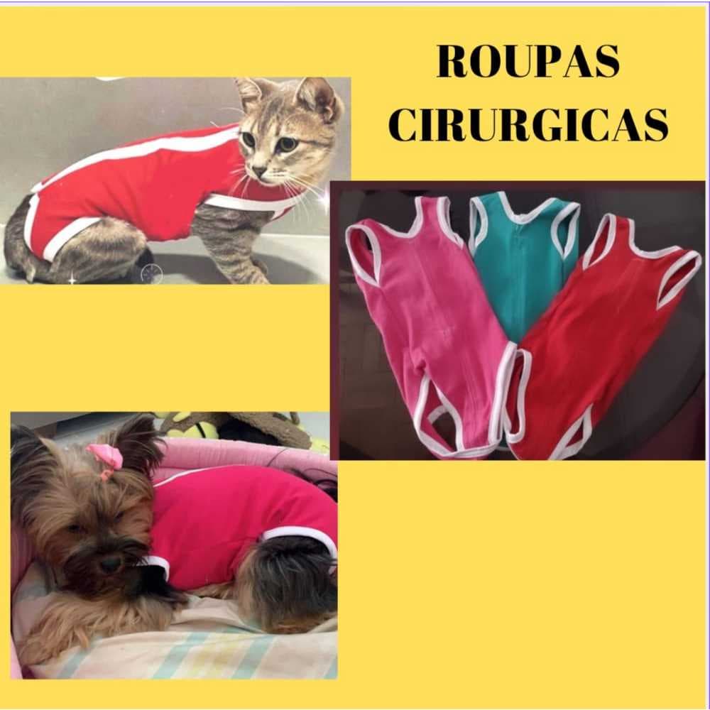 Roupa Pós-cirúrgica Gatos e Cão,  Gatos e cachorros
