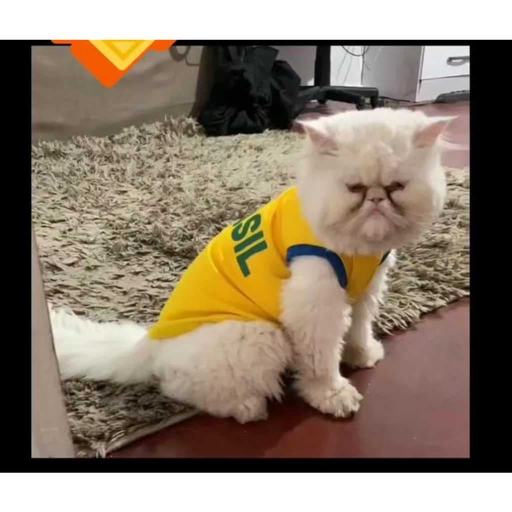 Roupa Pet Brasil Copa 2026 Suéter Verão para Cachorro e Gato Fantasia Copa Estampas Variadas