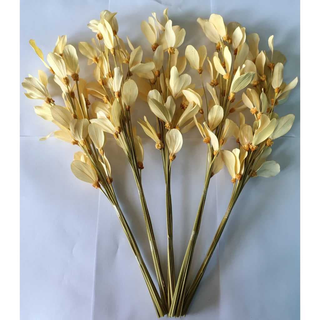 Flores secas desidratada 20 libélula colado no espeta nariz arranjo decoração casa ambientes