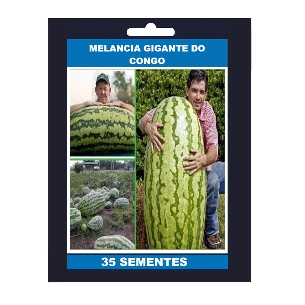 35 Sementes Melancia Gigante do Congo
