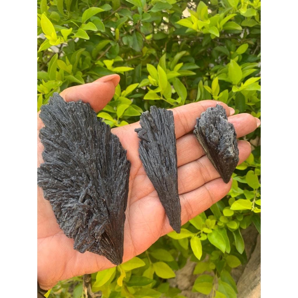 Pedra Cianita Negra ou Vassoura de Bruxa UNIDADE