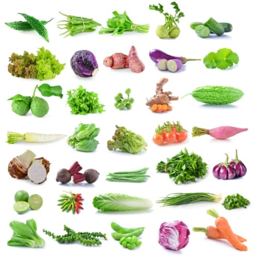 Kit Completo de 2460 Sementes: 35 Tipos de Hortaliças e Temperos JD