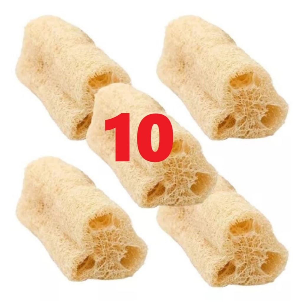 10 Esponjas Bucha Vegetal Natural Limpeza Profunda Esfoliaçao 100% natural sustentavel