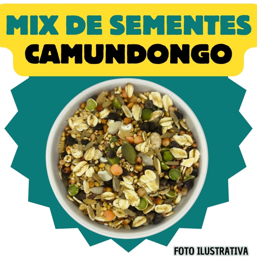 Mix de Sementes Balanceado para Camundongo/topolino