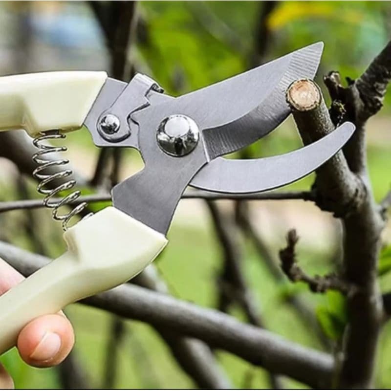 Tesoura De Poda Hagra Jardinagem Árvores Plantas Bonsai 15694