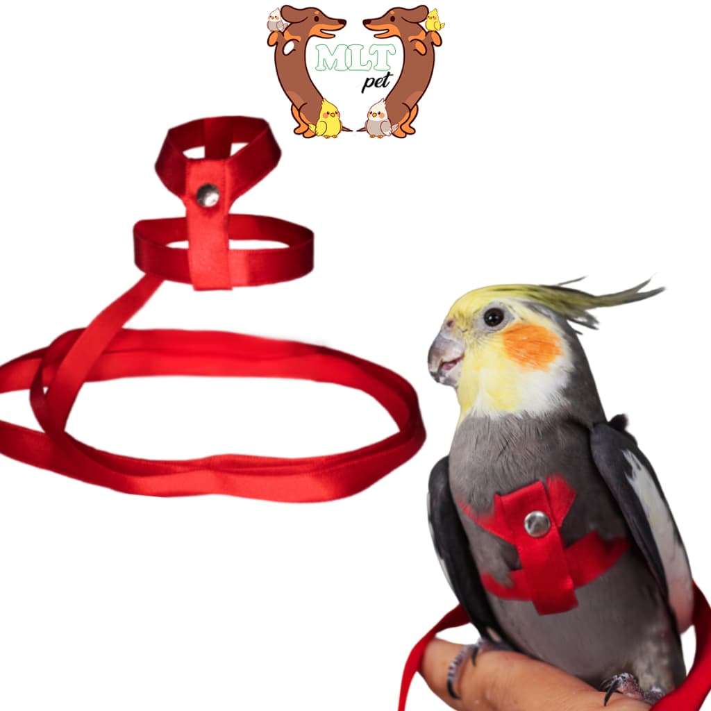 Coleira Peitoral para Calopsita Cetim Guia Mlt Pet