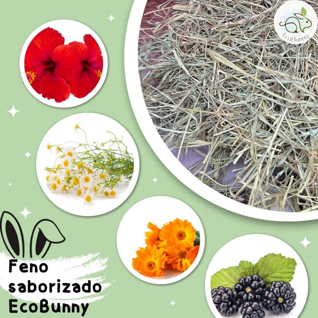 Feno Saborizado 500g Super Premium Verdinho - Ecobunny