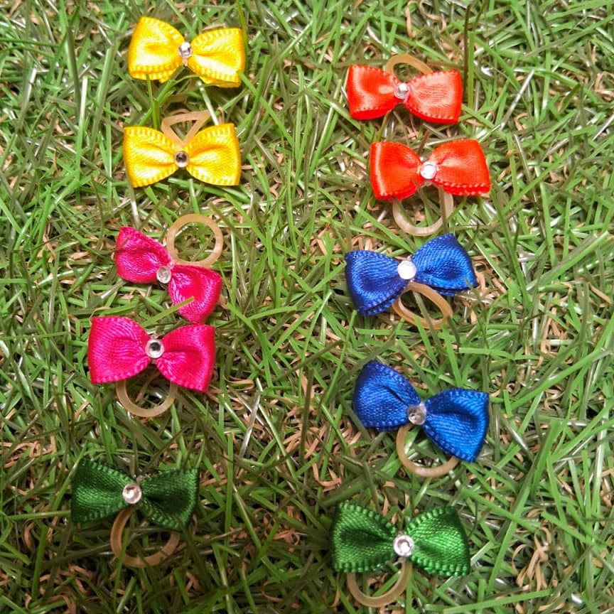 Laços Pet Pequeno 10 unidades